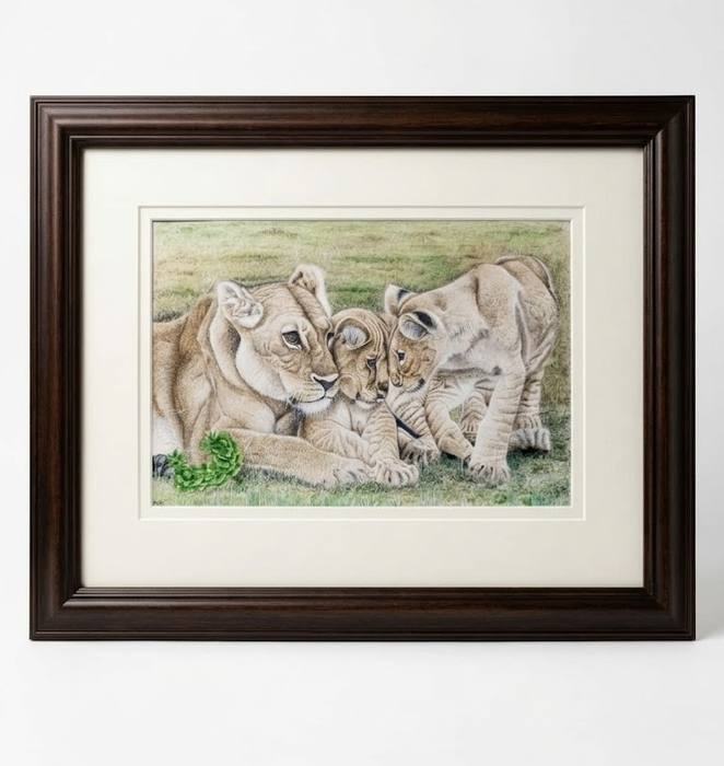 Lions & Cubs