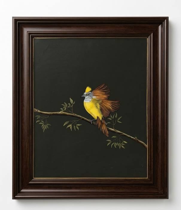 Crested Bulbul